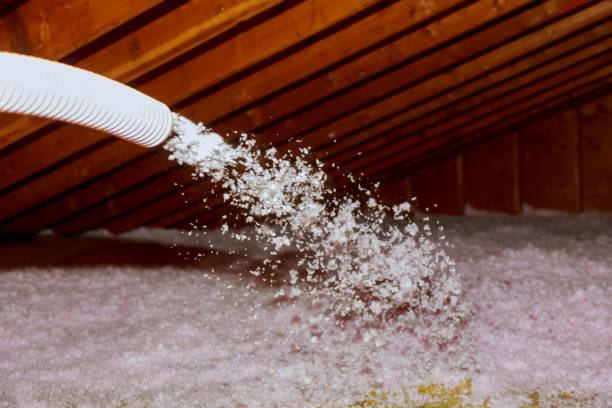 Best Commercial Insulation in Polk City, IA