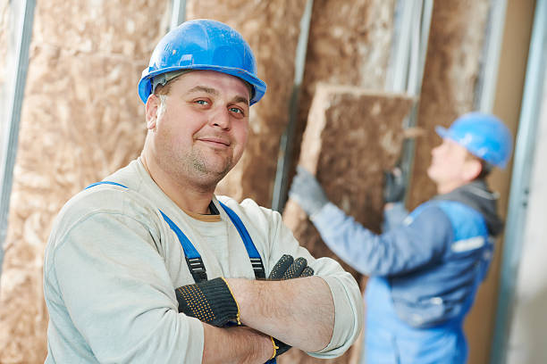 Best Specialized Insulation Services in Polk City, IA