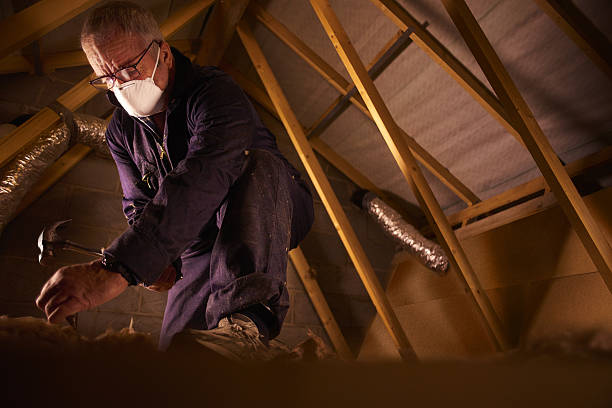 Best Insulation Maintenance and Repair in Polk City, IA