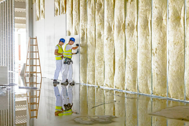 Best Geographic-Specific Insulation Services in Polk City, IA